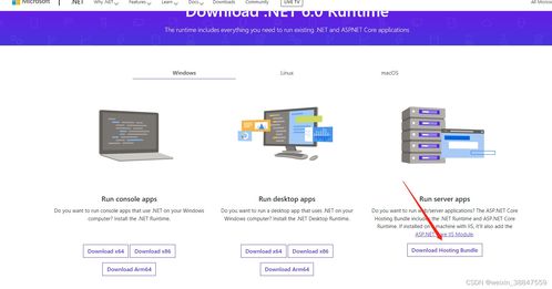 無法啟動IIS Express Web服務器的常見原因及解決方案